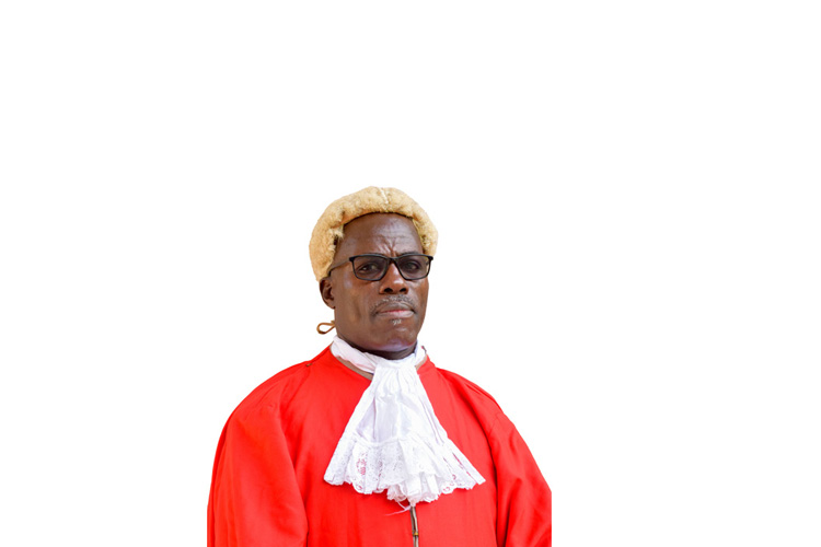 Justice Lovemore P. Chikopa Appointed Deputy Chief Justice