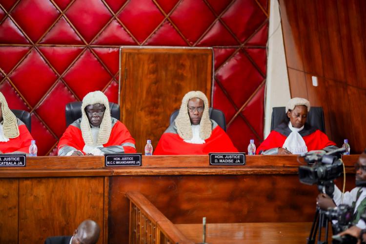 Honourable Justices of Appeal