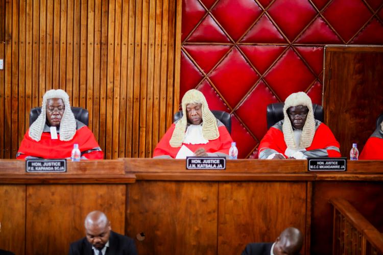 Honourable Justices of Appeal