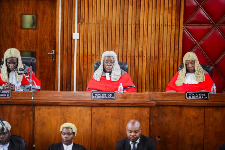 Honourable Justices of Appeal