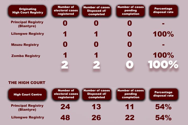 Elections Case Statistics 11 November 2025