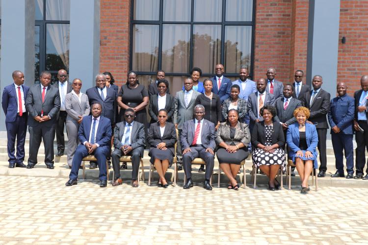 Participants and facilitators